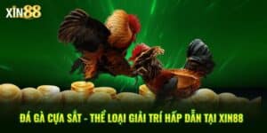 đá gà cựa sắt 1