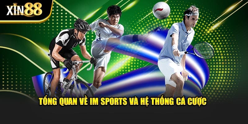 IM Sports 2