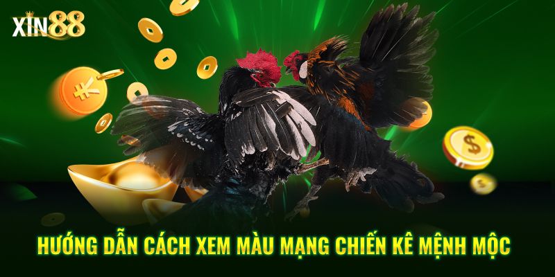 màu mạng gà đá 3