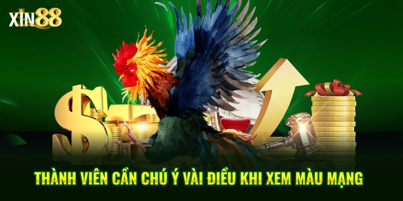 màu mạng gà đá 4