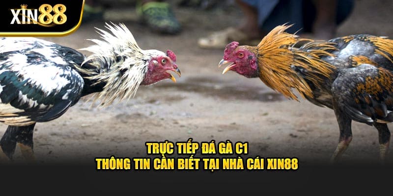 Trực tiếp đá gà c1