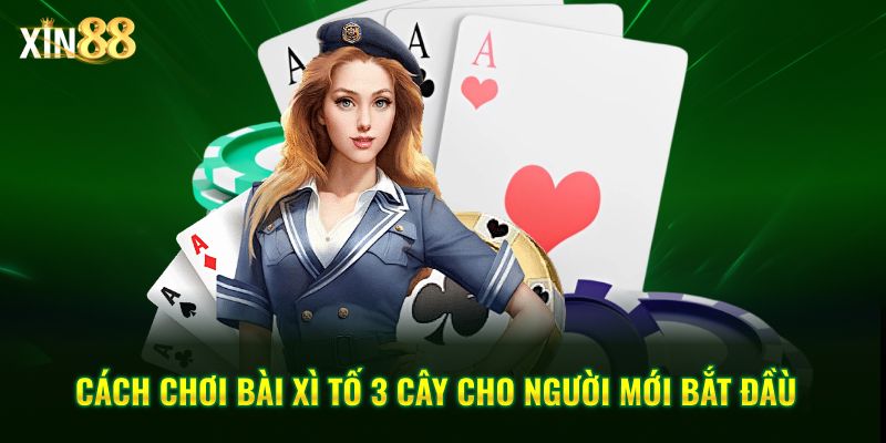 xì tố 3 cây 3